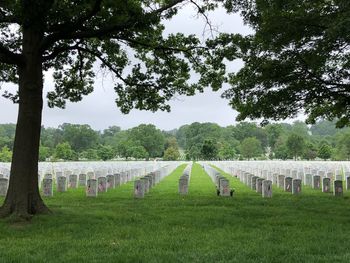 Tombstones in row at cemetery