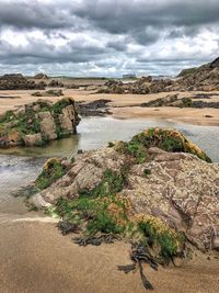 Scenic view of beach against sky