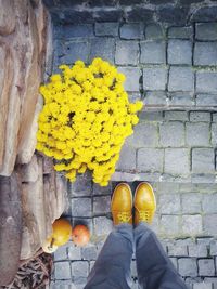 Low section of person standing on yellow flower