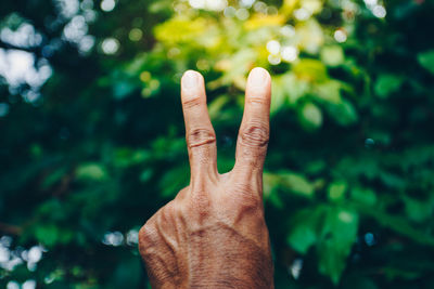 Cropped hand gesturing peace sign against plants