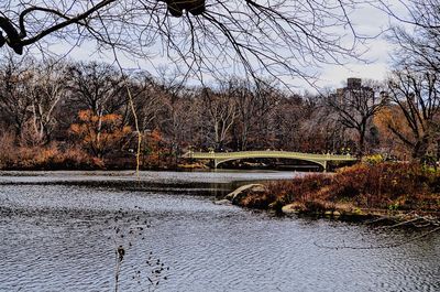 Scenic view of river by bare trees against sky