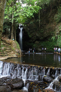 View of waterfall in forest