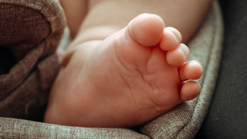 Close-up of baby feet