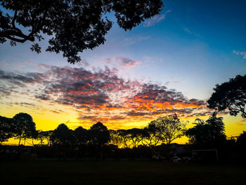 Silhouette trees on field against sky during sunset