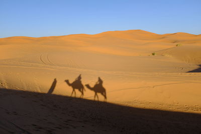 People riding on sand dune in desert against clear sky