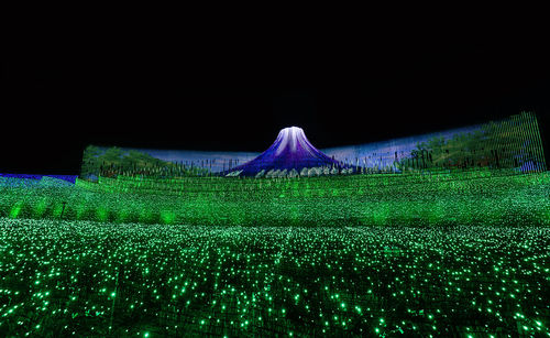 Firework display on field against sky at night