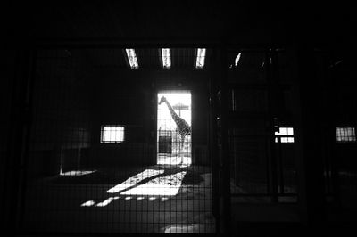 Interior of abandoned home