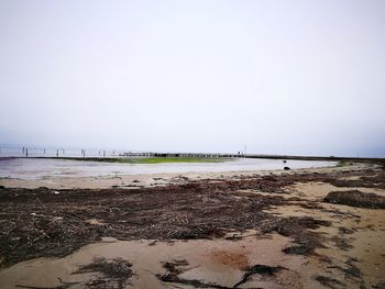 Scenic view of beach against clear sky