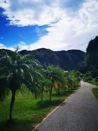 Road amidst trees and plants against sky