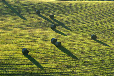 High angle view of ball on grassland