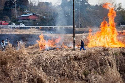 People standing by bonfire