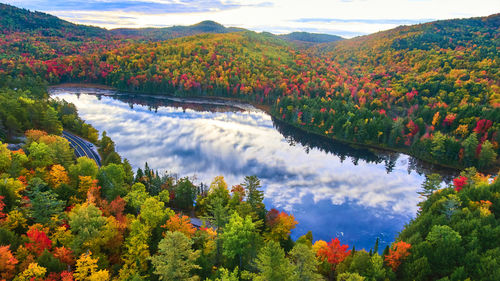 Scenic view of lake by trees