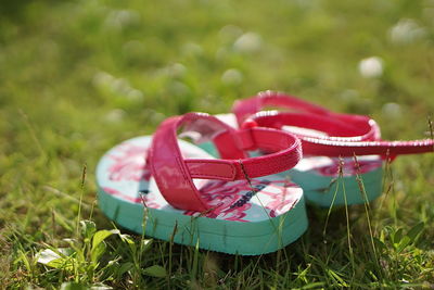 Close-up of red shoes on field