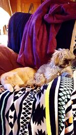 Close up of two people relaxing on bed