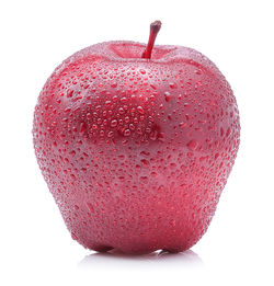 Close-up of wet red apple against white background