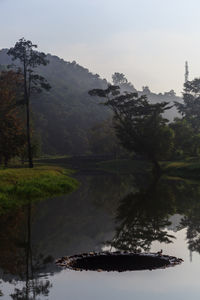 Scenic view of lake by trees against sky