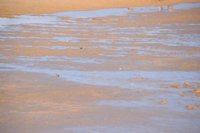 Full frame shot of beach