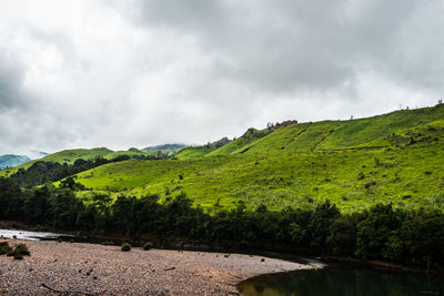 Mountain with dry river flow and green forests