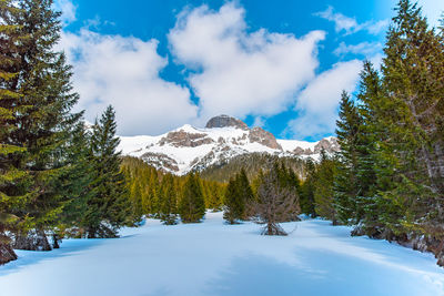 Scenic view of snowcapped mountains against sky