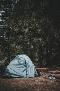 Tent on field by trees in forest