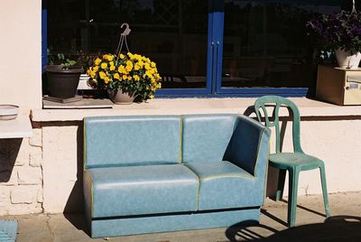 Potted plant on table by swimming pool against building