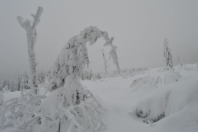 Snow covered land against sky