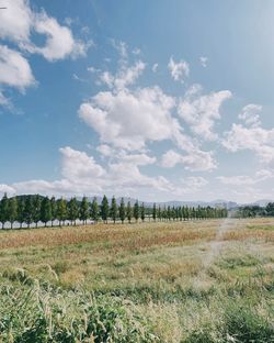 Scenic view of field against sky