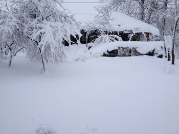 Scenic view of snow covered landscape