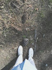 Low section of man standing on grass