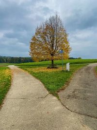 Bare tree on field by road against sky