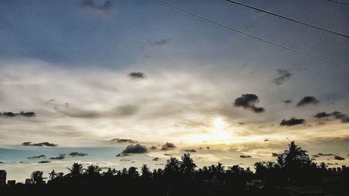 Low angle view of silhouette trees against sky at sunset