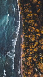 High angle view of beach