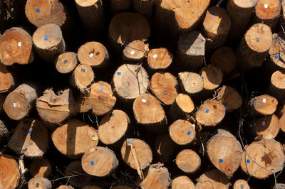 Full frame shot of firewood