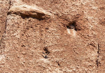 High angle view of footprints on sand