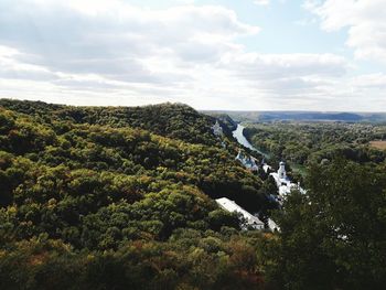 Scenic view of forest against sky