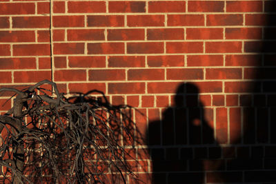 Shadow of man on brick wall