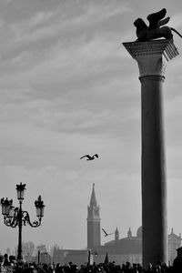 Seagull flying in a building