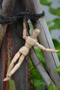 Close-up of wooden post hanging from tree