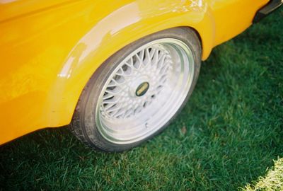 Close-up of yellow grass