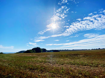 Scenic view of field against sky