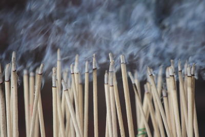 The incense burned to worship the buddha and the sacred.