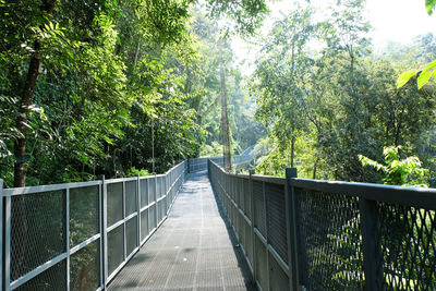 Footbridge amidst trees in forest