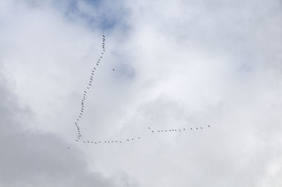 Low angle view of birds in cloudy sky