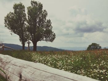 Scenic view of field against cloudy sky