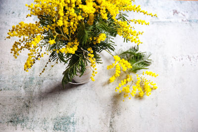 High angle view of yellow flowering plant