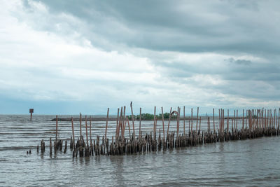 Wooden posts in sea against sky