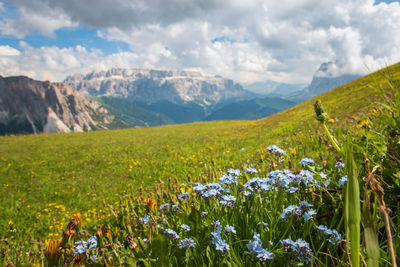 Scenic view of grassy field against cloudy sky