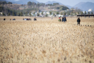 Group of people on field