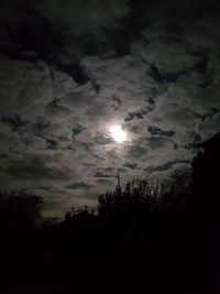 Low angle view of silhouette trees against sky at night