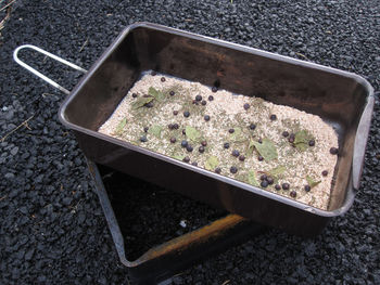 High angle view of food in box